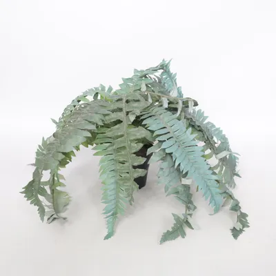 Konstgjord växt (Grön, Svart)