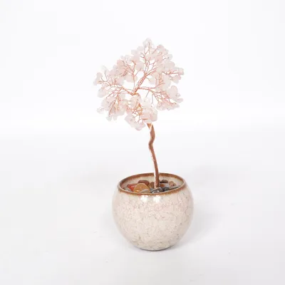 Home decoration (Pink)