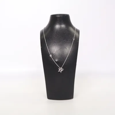 Necklace (Silver) Silver