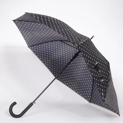 Parapluie (Noir, Blanc)