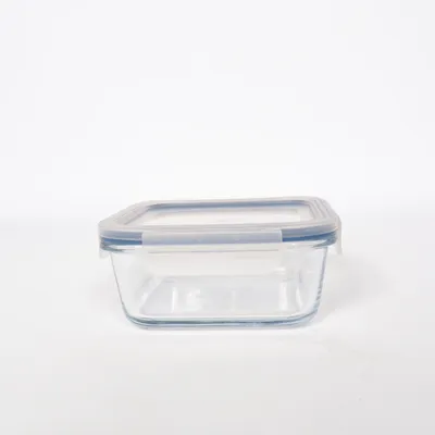 Lunch box (Transparent, Blue) from IKEA