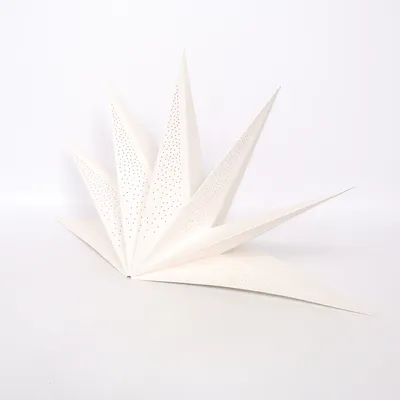 Kerstster (Wit, Goud)