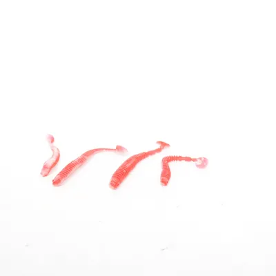 Matériel de pêche (Rouge)