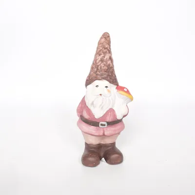 Tuinornament (Rood, Meerkleurig)