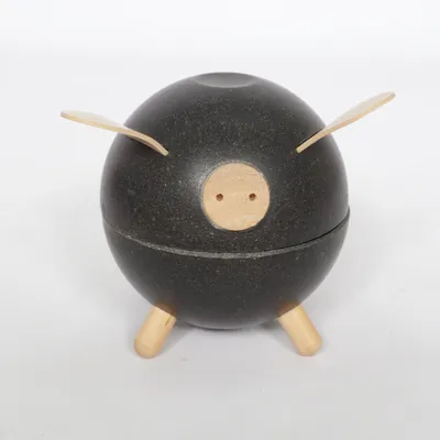Spaarpot (Piggy Bank) van PlanToys