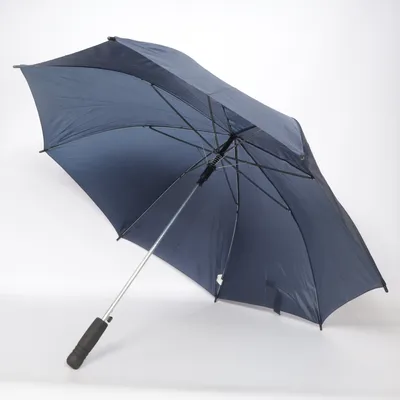 Paraplu (Blauw) van IKEA Family