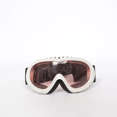 Ski goggles (Silver, Black) from Salice