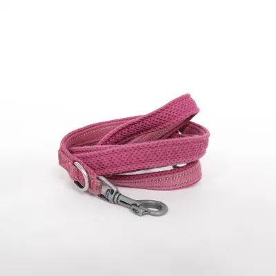 Hondenriem (Roze) van True Love