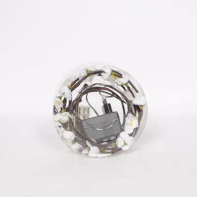 Guirlande lumineuse (Blanc)