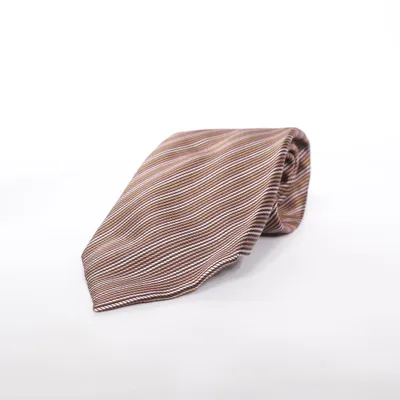 Tie (Brown, Multicolored) from Corneliani Silk