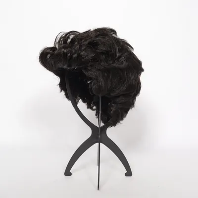 Wig (Black) from Smiffy's