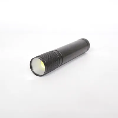 Zaklamp (ISY) van ISY