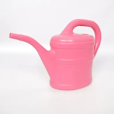 Gieter (Roze) van Geli