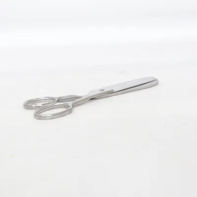 Schaar (Zilver) van Fiskars