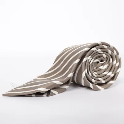 Tie (Brown, White) from Tiger of Sweden Silk