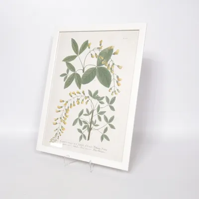 Frame (White) from IKEA