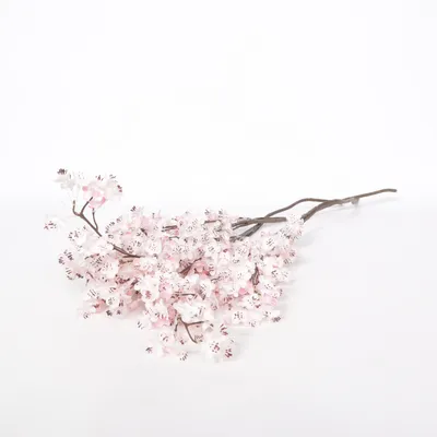 Kunstplant (Roze, Bruin)