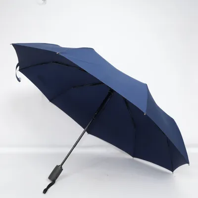 Paraplu (Blauw) van SAAB