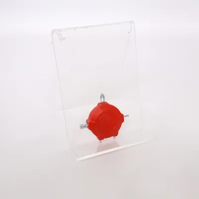 Shoe accessory (Red) from Atomic