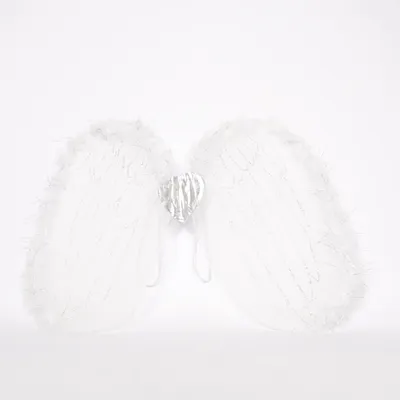 Accessoires de déguisement (Blanc, Argent)