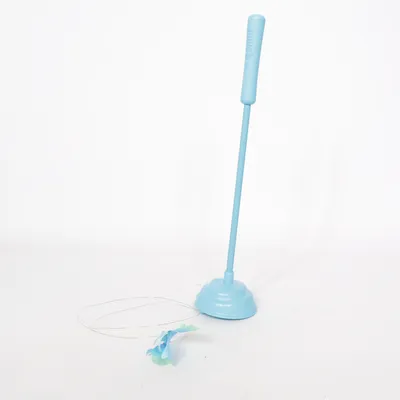 Cat toy (Blue) from Kong