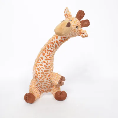 Dog toy (Orange, Brown) from Kong