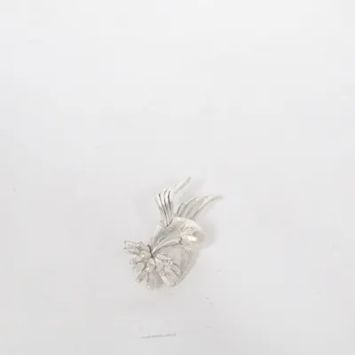 Broche (Zilver) Onbekend materiaal