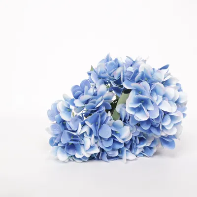 Artificial plant (Blue, Green) from Primark Home