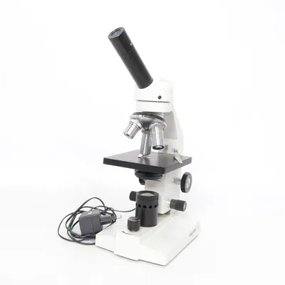 Microscoop (Grijs) van Sagitta