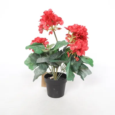 Artificial plant (Red) from Rusta