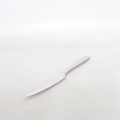 Kitchen knife (Silver) from Markus Aujalay