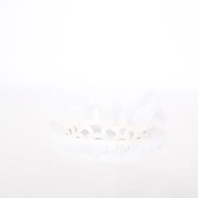 Costume accessories (White)