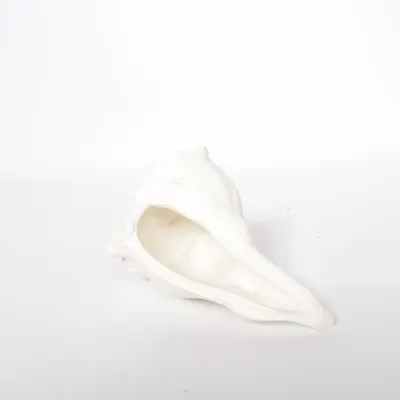 Shell (White) from Lene Bjerre