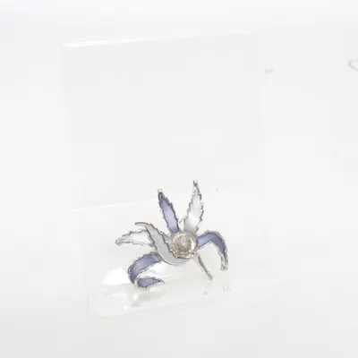 Broche (Zilver, Meerkleurig) Onbekend materiaal