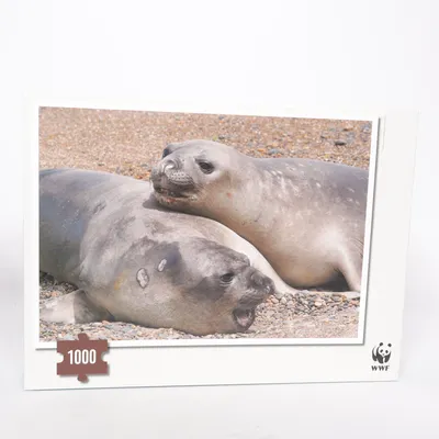 Puzzle de WWF