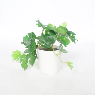 Inredningsdetalj (Svart, Grön, Vit)