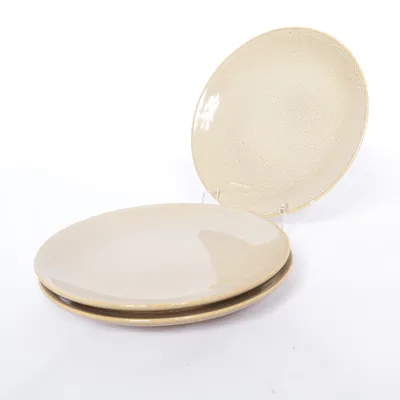 Plate (Beige) from Zara Home