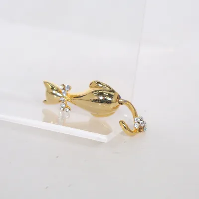 Broche (Goud) Onbekend materiaal