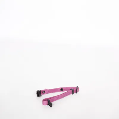 Dog collar (Purple) from My Home