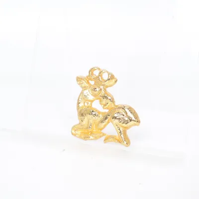 Broche (Goud) Onbekend materiaal