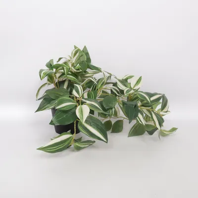 Home decoration (Green, White) from IKEA