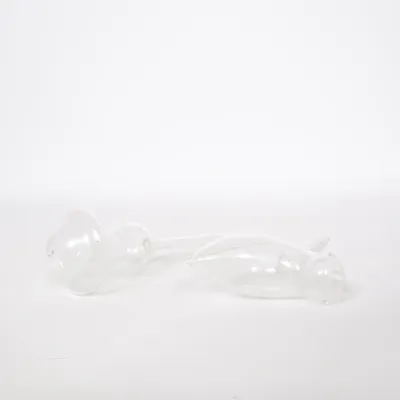 Tuingereedschap (Transparant)