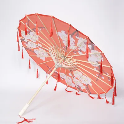 Parasol (NEU)