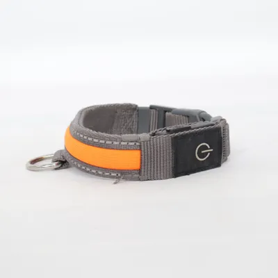 Collier pour chien (Gris, Orange) de Zoofari