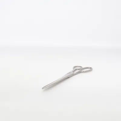 Ciseaux (Argent) de Bahco