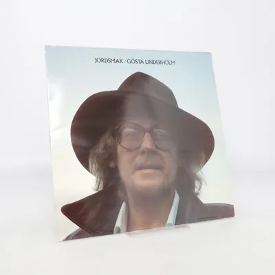 Vinyl record