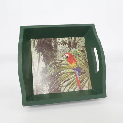 Dienblad (Groen, Meerkleurig) van Xenos