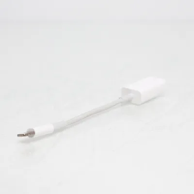 Adapter from Apple