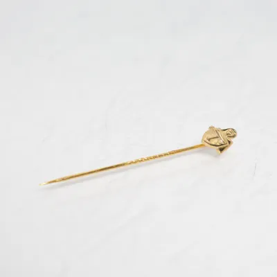 Kavajnål (Guldfärgad) Guld