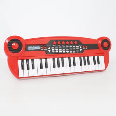 Speelgoed instrument (Pro-Tunes) van Pro